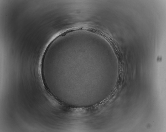X0000102790100200808181310