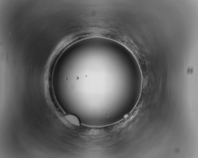 X0000102790101200808181310