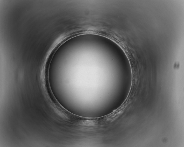 X0000102790102200808181310