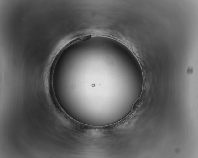X0000102790103200808181310
