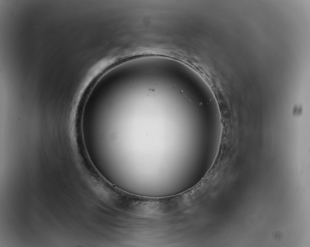 X0000102790104200808181310