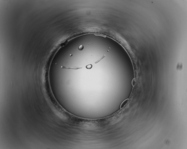 X0000102790106200808181309