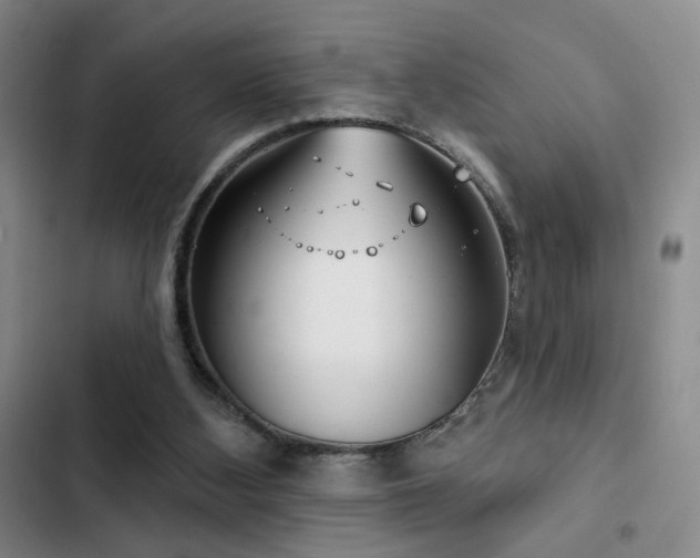 X0000102790108200808181309