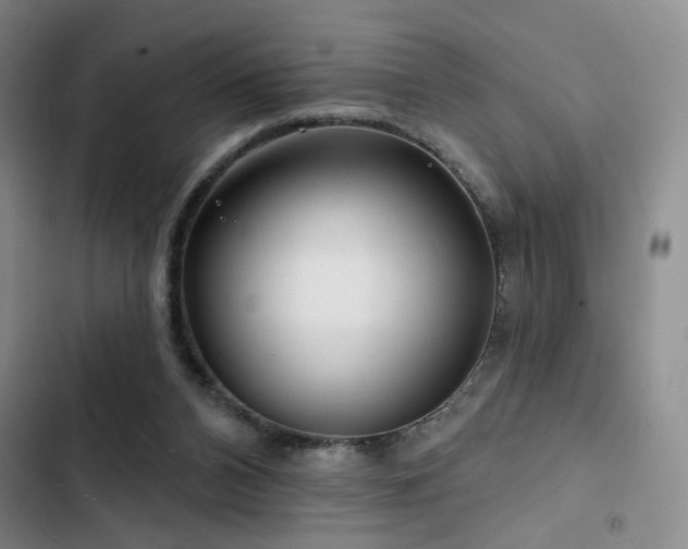X0000102790112200808181309