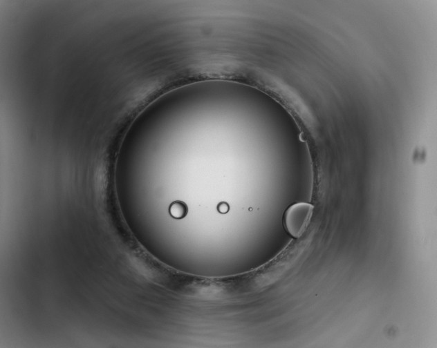 X0000102790113200808181309