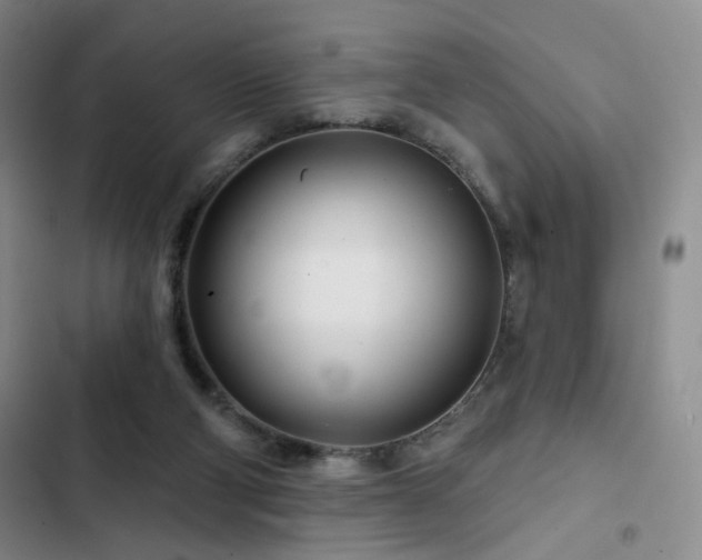 X0000102790114200808181309