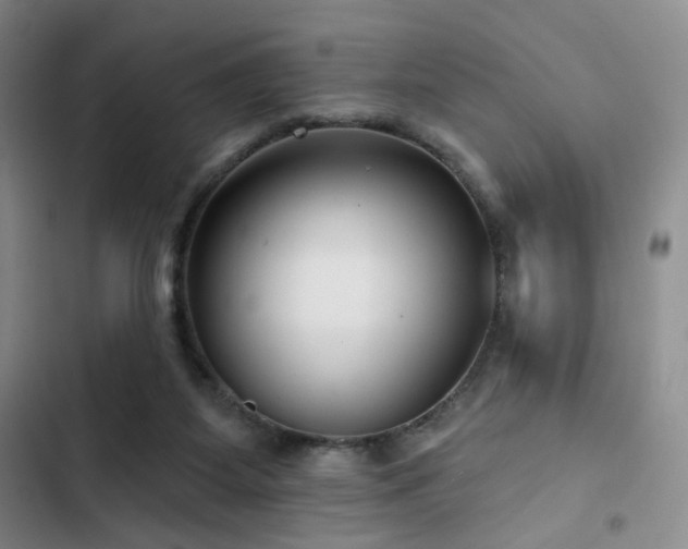 X0000102790115200808181309