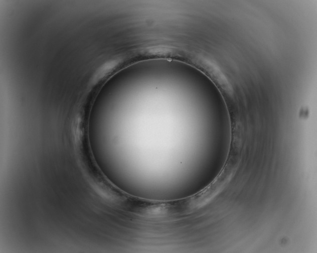X0000102790116200808181309
