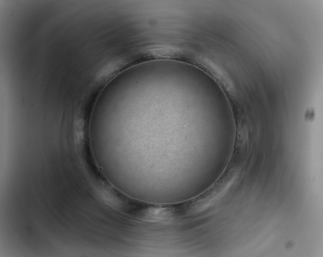 X0000102790117200808181309