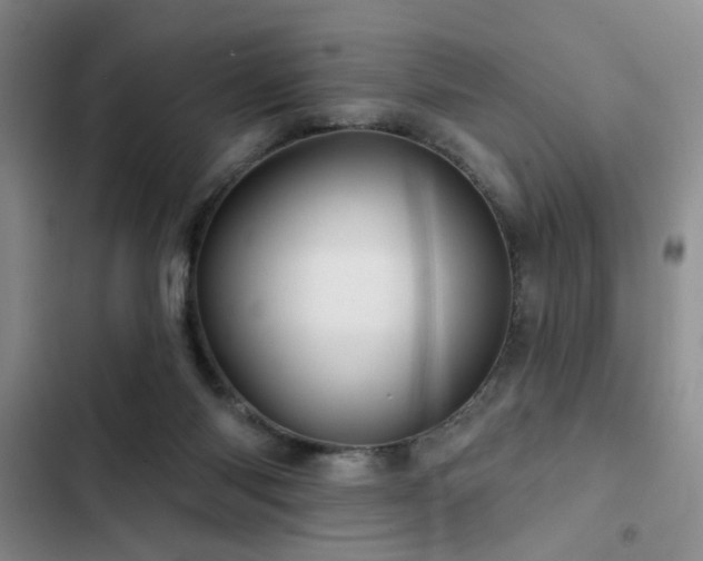 X0000102790118200808181309