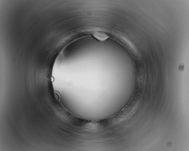 X0000102790119200808181309