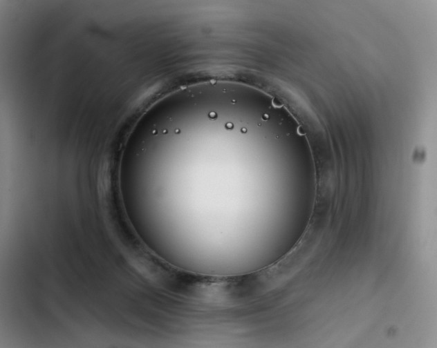 X0000102790120200808181309