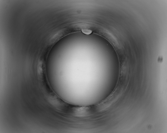 X0000102790122200808181309