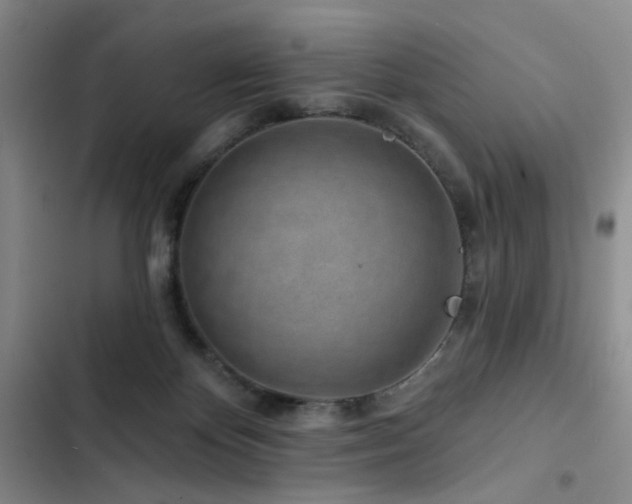 X0000102790124200808181309
