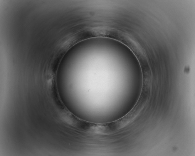 X0000102790125200808181309