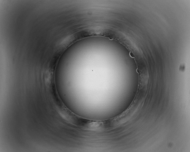 X0000102790126200808181309
