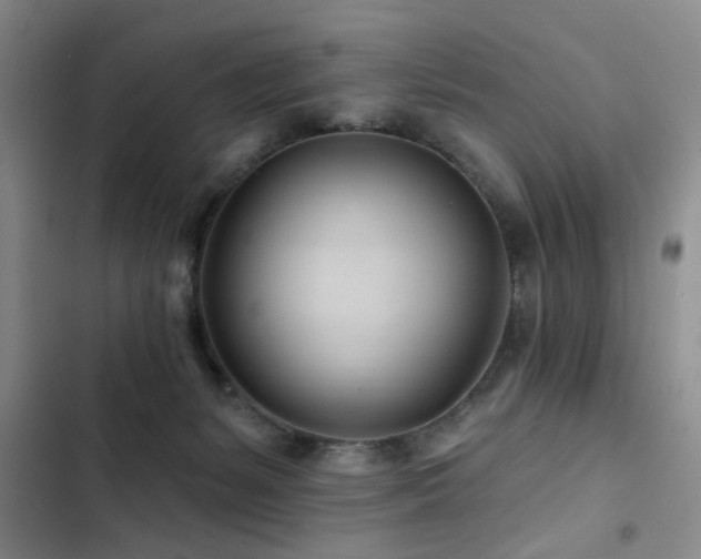 X0000102790127200808181309