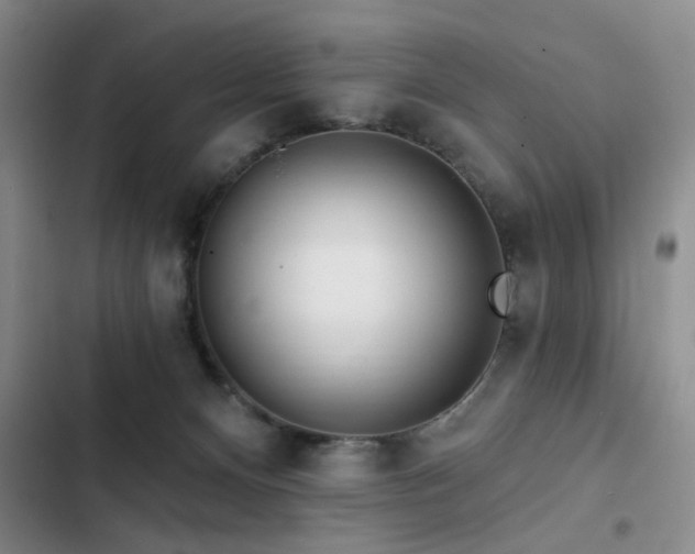 X0000102790128200808181309