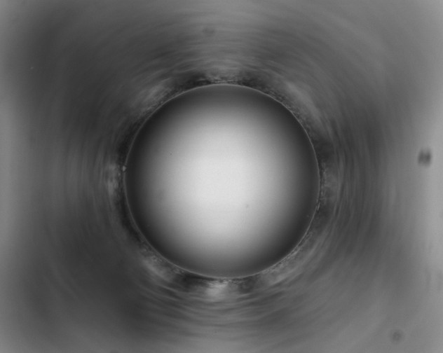 X0000102790130200808181309