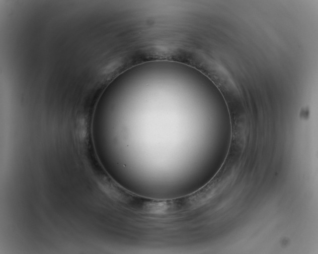 X0000102790131200808181309
