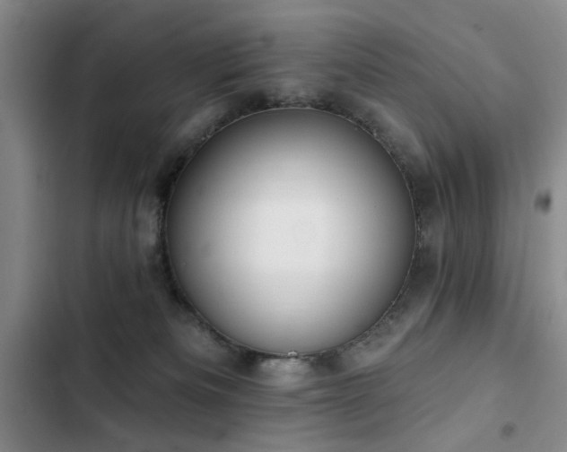 X0000102790133200808181309
