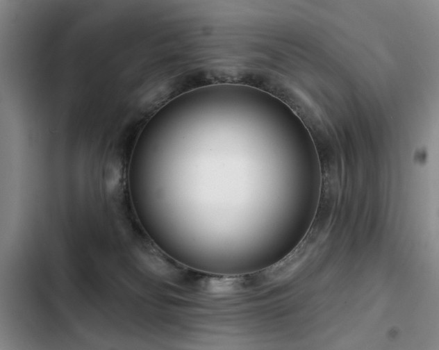 X0000102790134200808181309