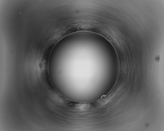 X0000102790135200808181309