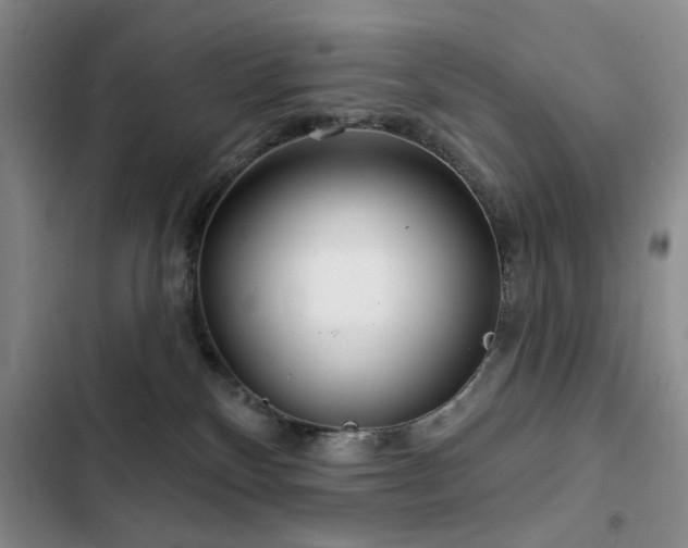 X0000102790136200808181309