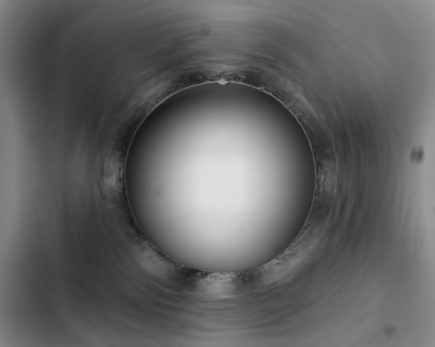 X0000102790138200808181309