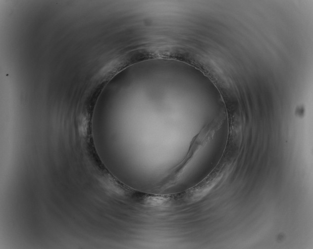 X0000102790139200808181309