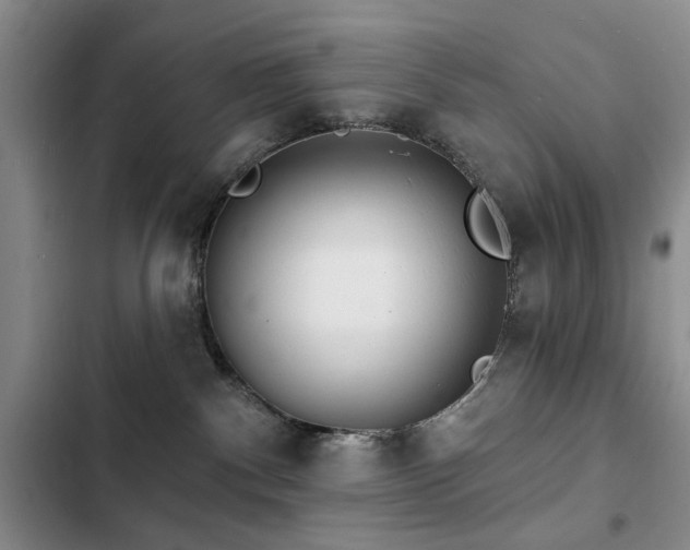 X0000102790140200808181309