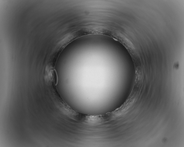 X0000102790141200808181309