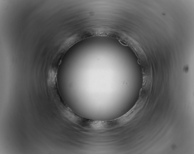 X0000102790142200808181309