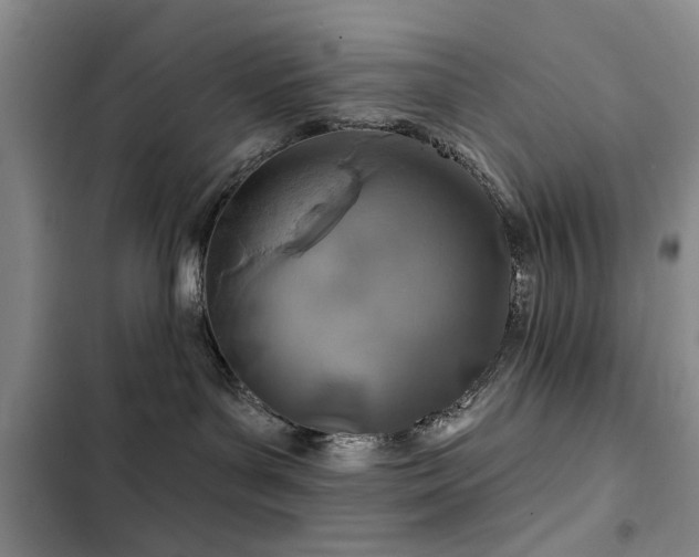 X0000102790143200808181309