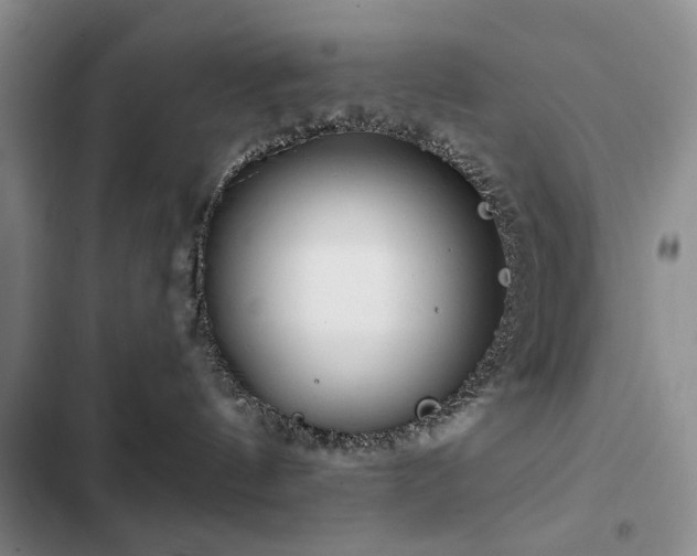X0000102790144200808181309