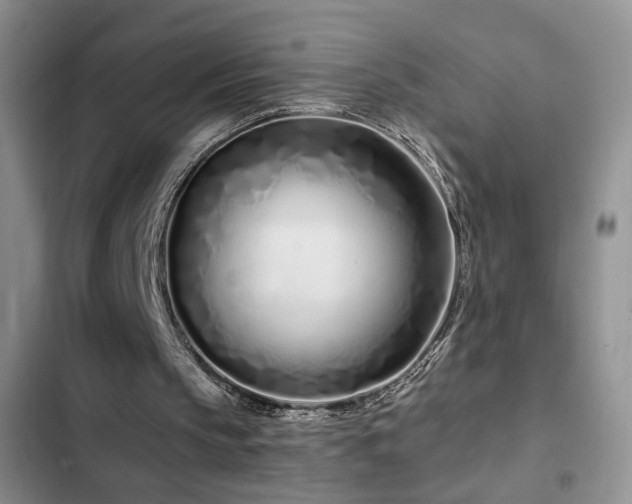 X0000102790145200808181308