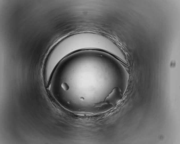 X0000102790146200808181308