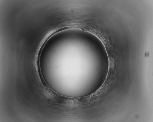 X0000102790147200808181308