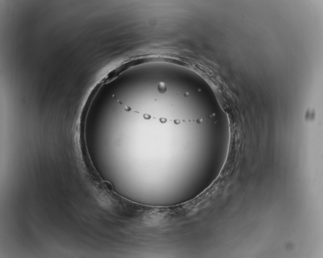X0000102790148200808181308