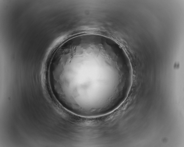 X0000102790149200808181308