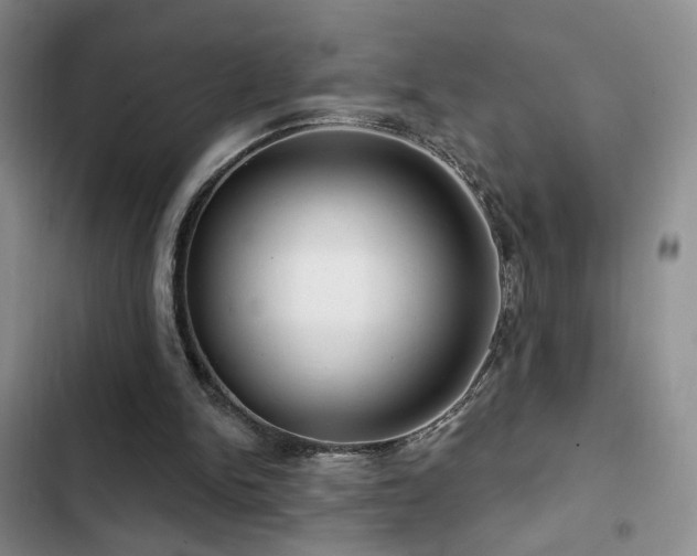 X0000102790150200808181308