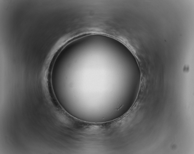 X0000102790151200808181308