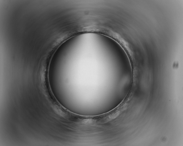 X0000102790153200808181308