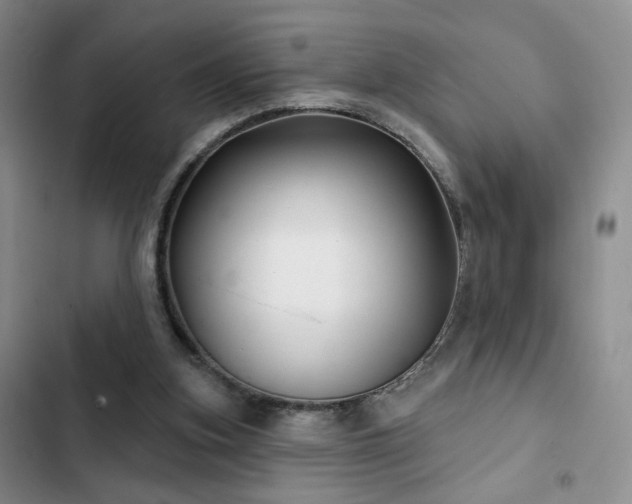 X0000102790155200808181308