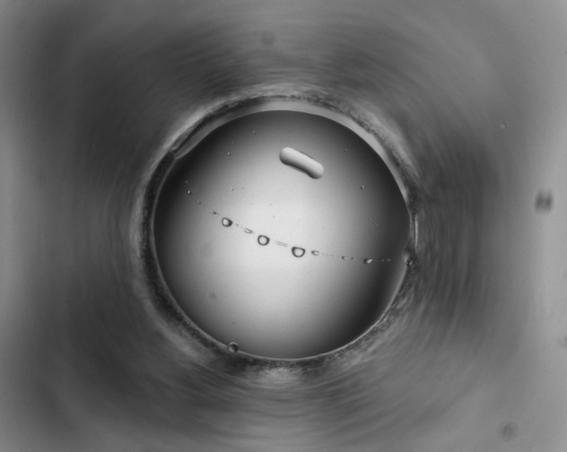 X0000102790156200808181308