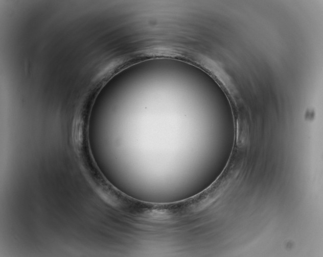 X0000102790157200808181308