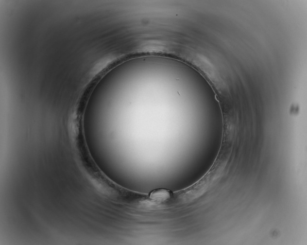 X0000102790160200808181308