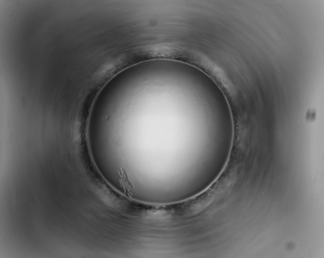 X0000102790161200808181308