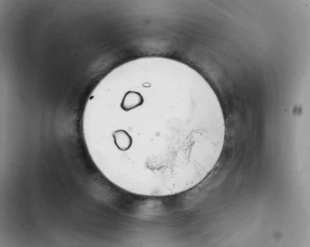 X0000102790162200808181309