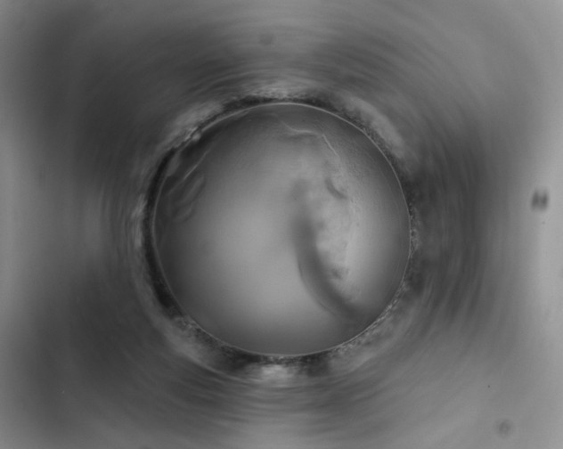 X0000102790163200808181309